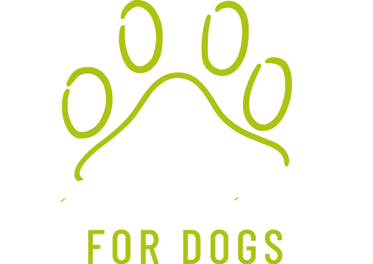 Calisthenics for dogs