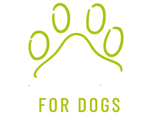 Calisthenics for dogs